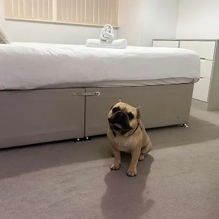 Pet-friendly 1br Sleeps 4 In Bmh Centre With Parking Apartamento Birmingam